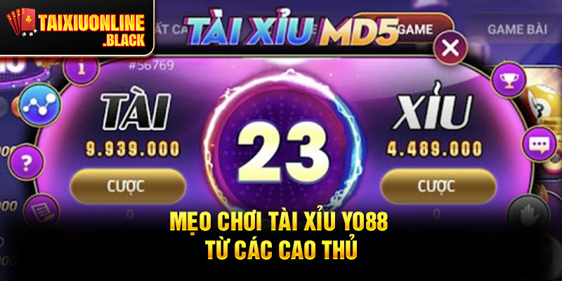 Mẹo chơi tài xỉu Yo88 từ các cao thủ