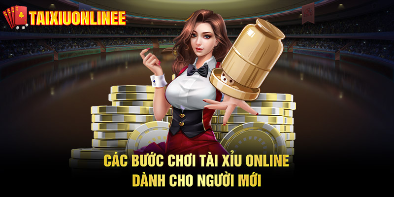 Các Bước Chơi Tài Xỉu Online Dành Cho Người Mới